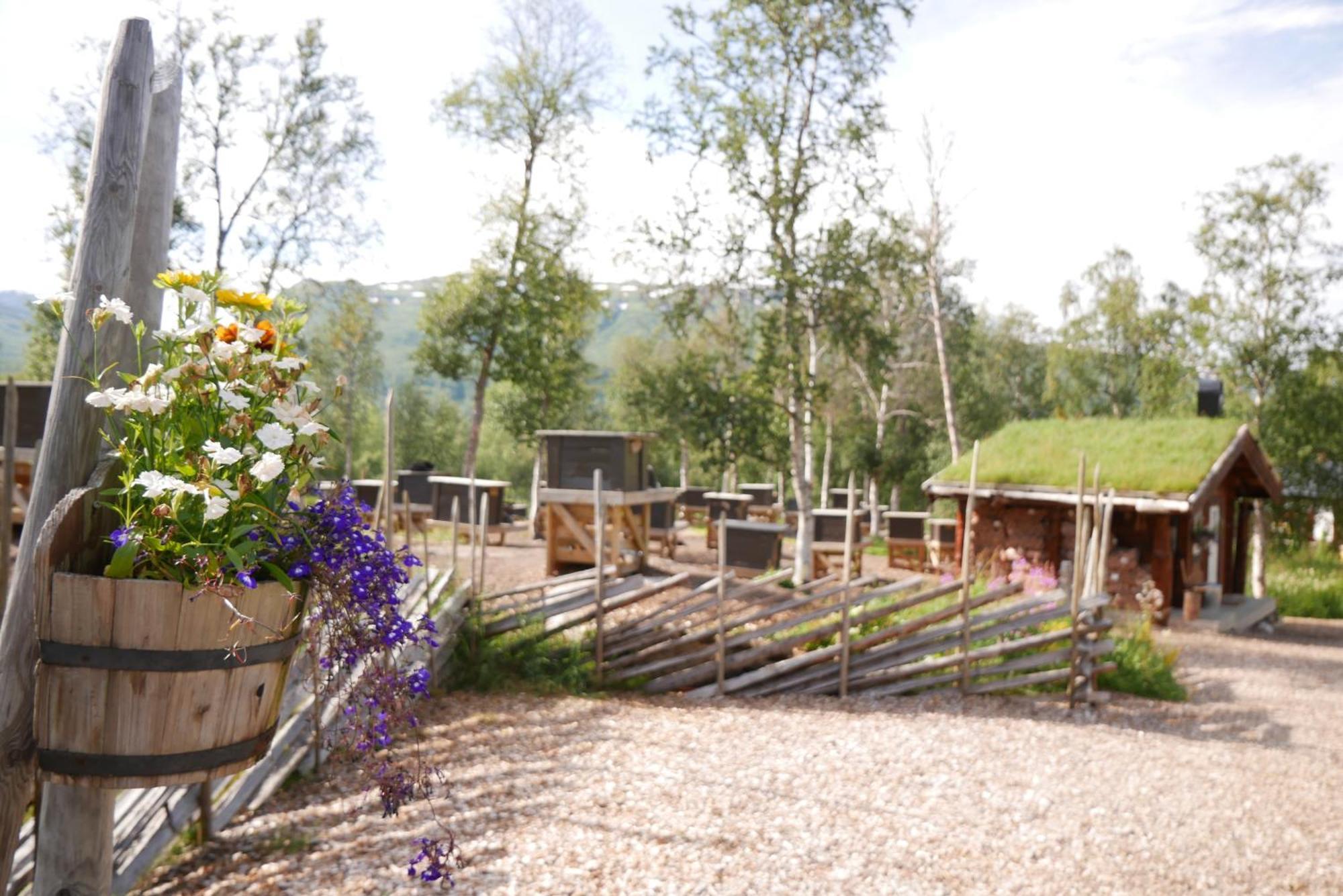Bardu Huskylodge Exterior foto