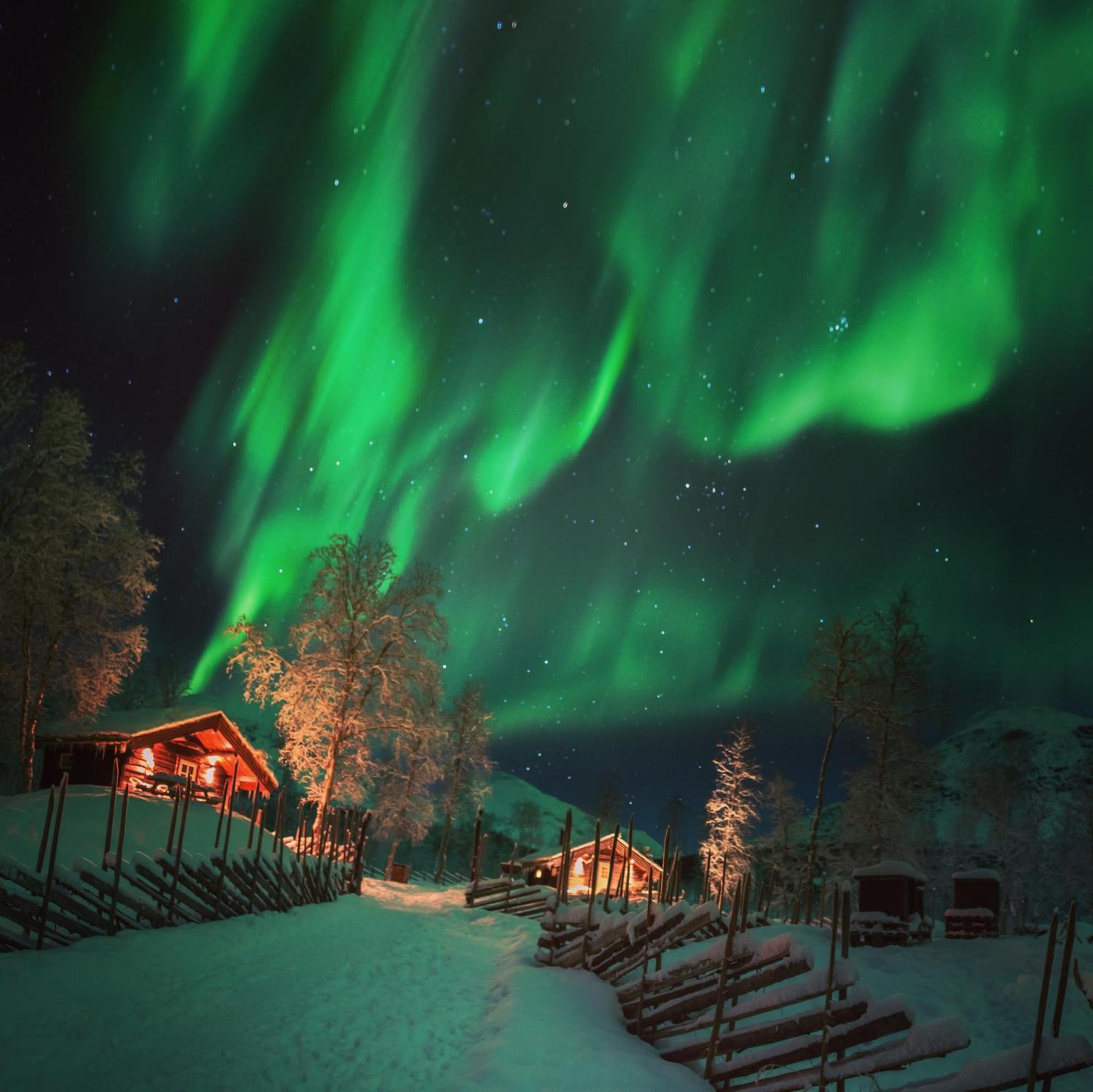 Bardu Huskylodge Exterior foto