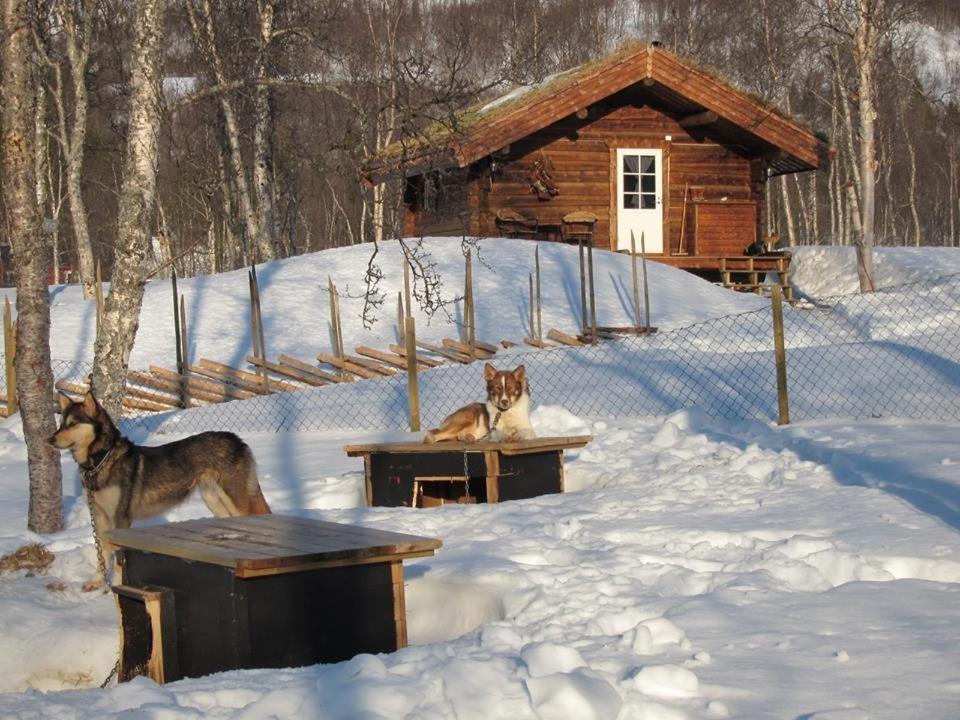 Bardu Huskylodge Exterior foto